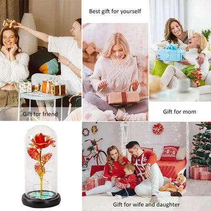 EternalGlow Rose Dome